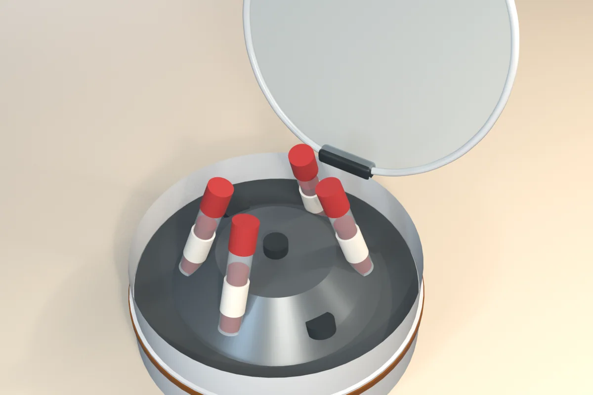 Bench centrifuge with its lid open and four blood tubes, each in a plain label band, seated in two opposite pairs